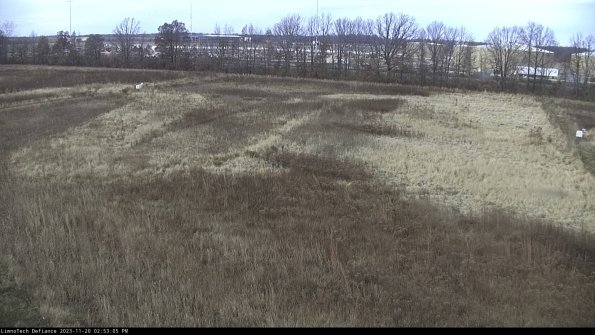 Cell 3_23-11-20_14-53-05-77