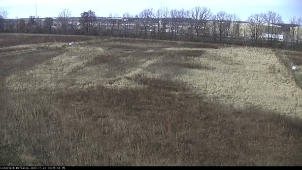 Cell 3_23-11-20_15-26-34-78