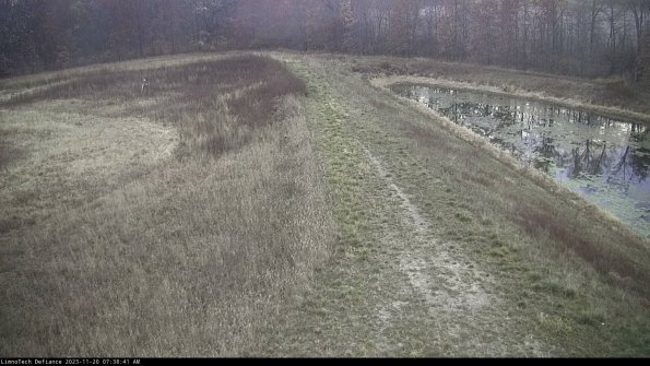 Cell 4 to Basin_23-11-20_07-38-41-77