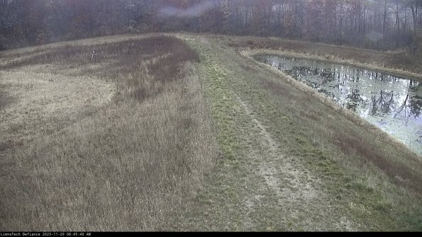 Cell 4 to Basin_23-11-20_08-45-40-76