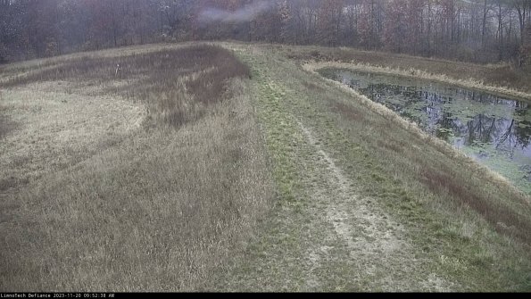 Cell 4 to Basin_23-11-20_09-52-38-79