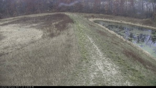 Cell 4 to Basin_23-11-20_12-40-06-80