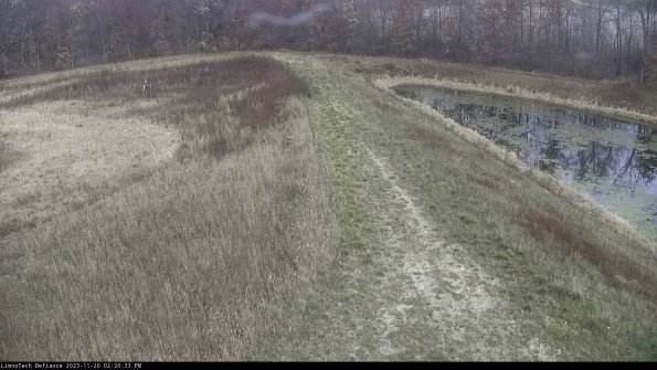 Cell 4 to Basin_23-11-20_14-20-33-77