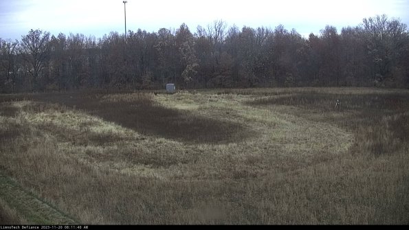 Cell 4_23-11-20_08-11-40-79