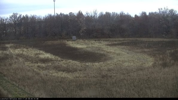 Cell 4_23-11-20_08-45-10-77