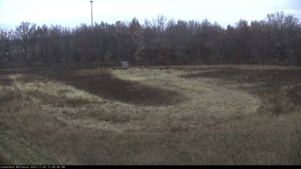 Cell 4_23-11-20_12-06-06-78