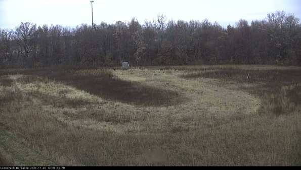 Cell 4_23-11-20_12-39-36-80