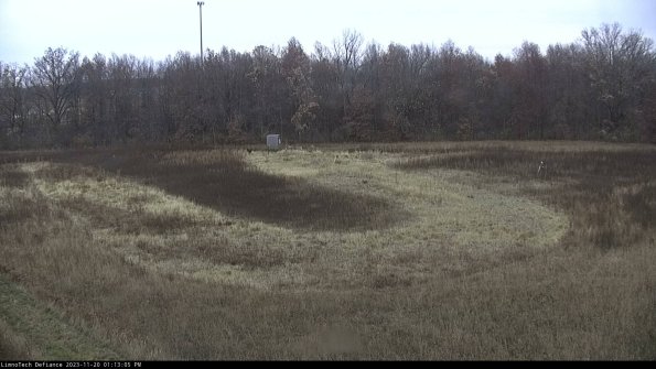 Cell 4_23-11-20_13-13-05-78