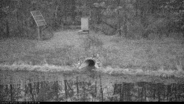 Basin Inflow_23-11-22_07-05-57-76