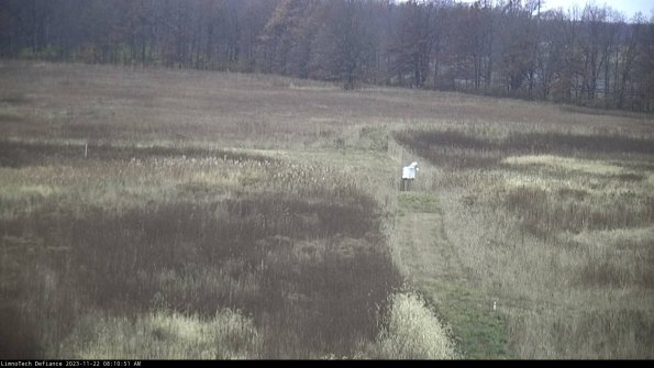 Cell 1 to 2_23-11-22_08-10-51-80