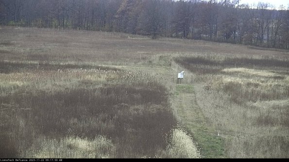 Cell 1 to 2_23-11-22_09-17-50-79