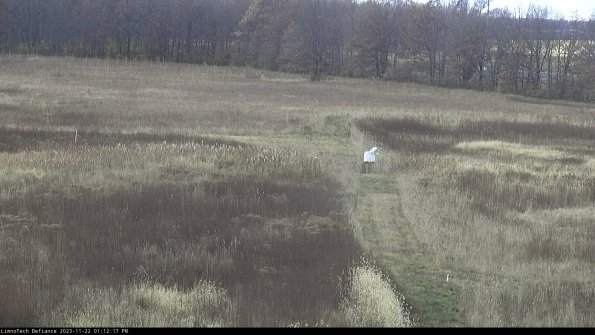 Cell 1 to 2_23-11-22_13-12-17-77