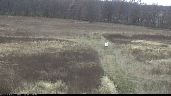 Cell 1 to 2_23-11-22_14-19-18-77