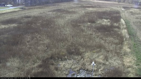 Cell 1_23-11-22_13-12-03-76