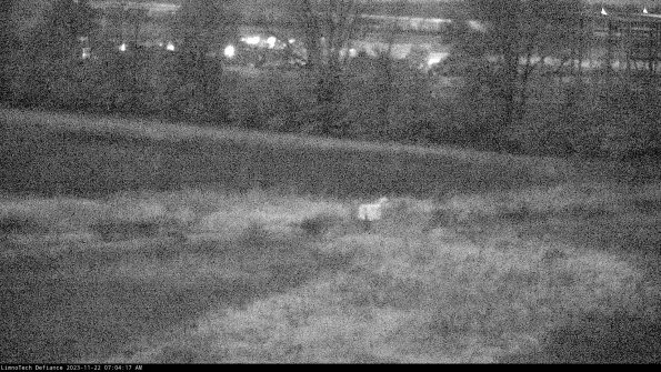 Cell 2 to 3_23-11-22_07-04-17-93