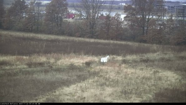 Cell 2 to 3_23-11-22_07-37-48-91