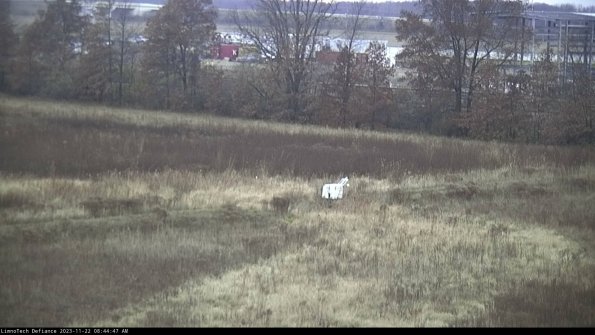 Cell 2 to 3_23-11-22_08-44-47-84