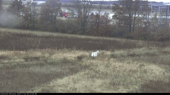 Cell 2 to 3_23-11-22_14-19-44-83