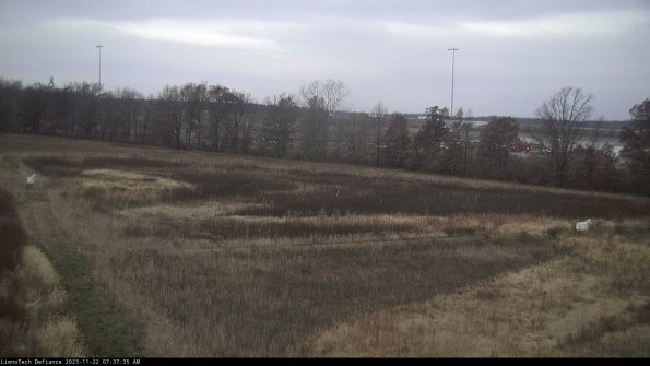 Cell 2_23-11-22_07-37-35-83