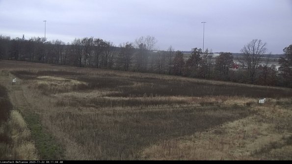 Cell 2_23-11-22_08-11-04-84