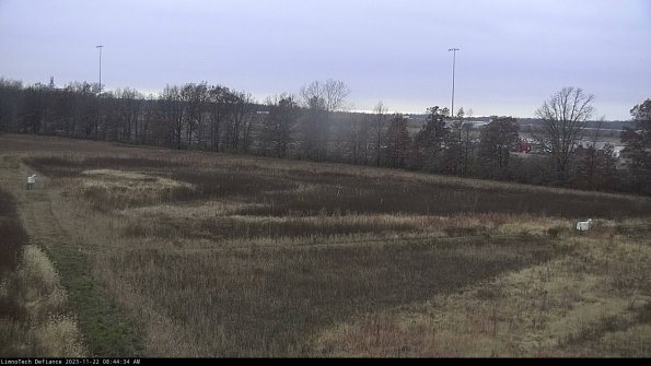 Cell 2_23-11-22_08-44-34-79