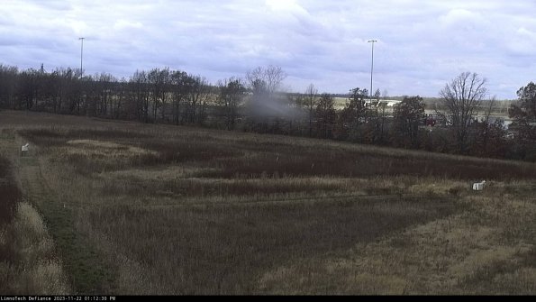 Cell 2_23-11-22_13-12-30-78