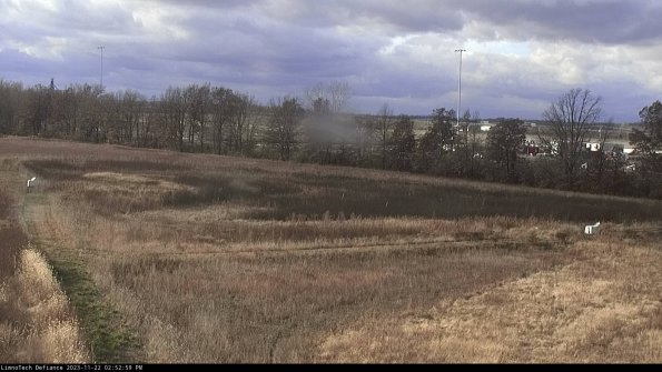 Cell 2_23-11-22_14-52-59-87