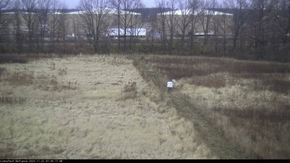 Cell 3 to 4_23-11-22_07-38-17-77