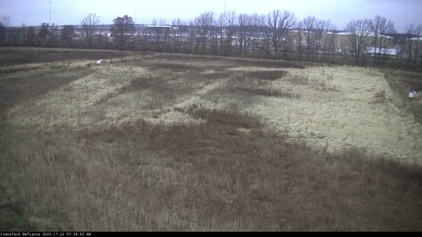 Cell 3_23-11-22_07-38-03-79