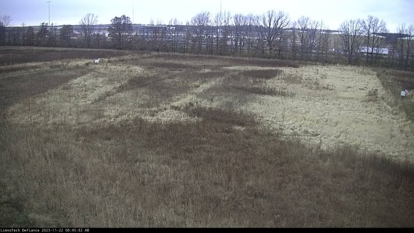 Cell 3_23-11-22_08-45-02-79