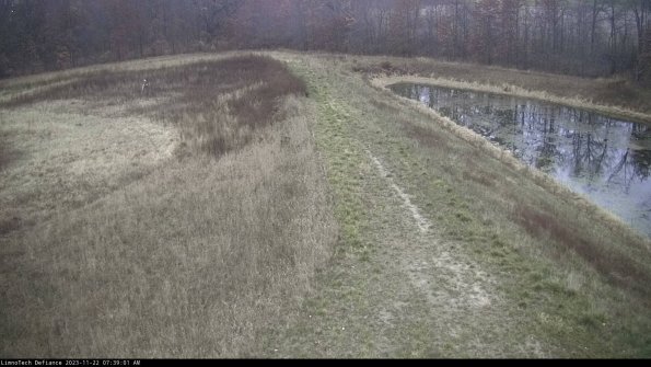 Cell 4 to Basin_23-11-22_07-39-01-78