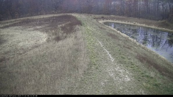 Cell 4 to Basin_23-11-22_08-12-30-76