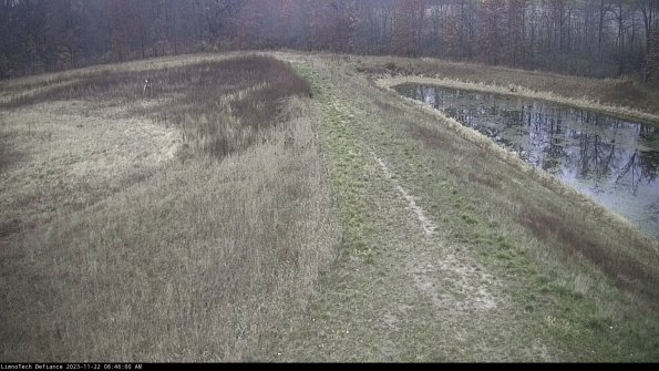 Cell 4 to Basin_23-11-22_08-46-00-78