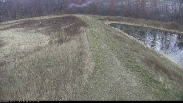 Cell 4 to Basin_23-11-22_13-13-56-77