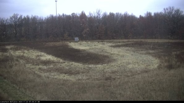 Cell 4_23-11-22_07-38-31-79