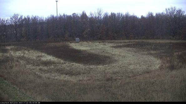 Cell 4_23-11-22_09-18-59-80