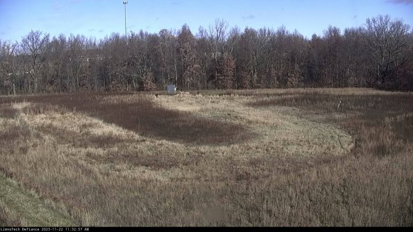 Cell 4_23-11-22_11-32-57-79