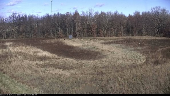 Cell 4_23-11-22_12-39-56-79