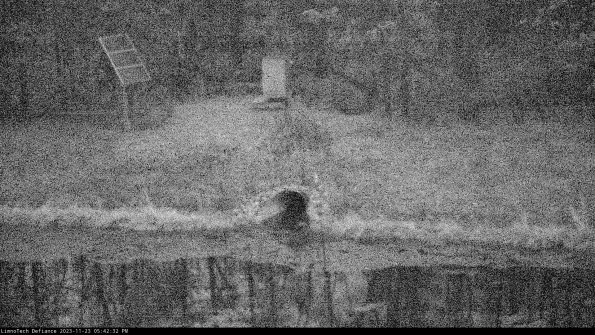 Basin Inflow_23-11-23_17-42-32-78