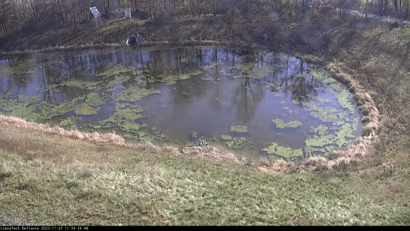 Basin Right_23-11-23_11-34-26-77