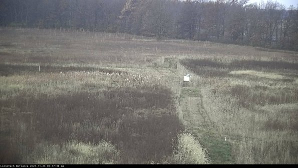 Cell 1 to 2_23-11-23_07-37-38-79