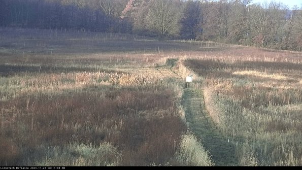 Cell 1 to 2_23-11-23_08-11-08-76