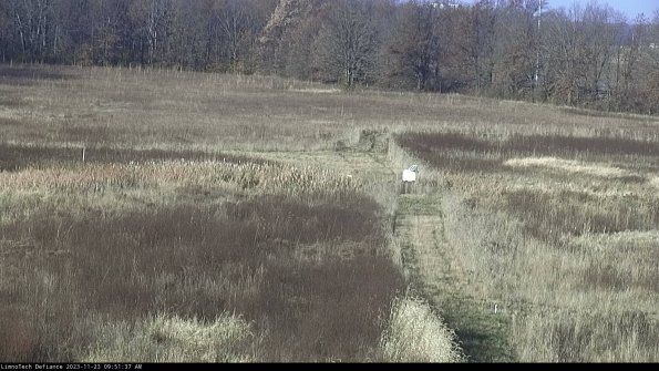 Cell 1 to 2_23-11-23_09-51-37-78