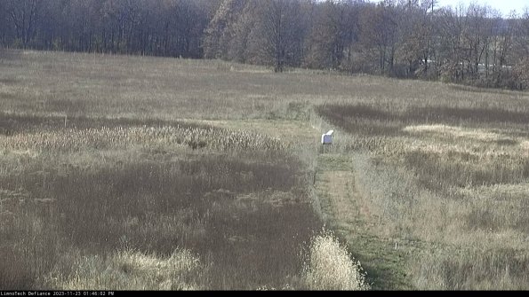 Cell 1 to 2_23-11-23_13-46-02-76