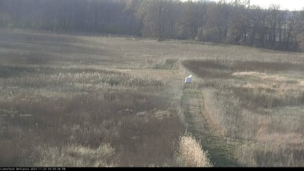 Cell 1 to 2_23-11-23_15-59-58-80