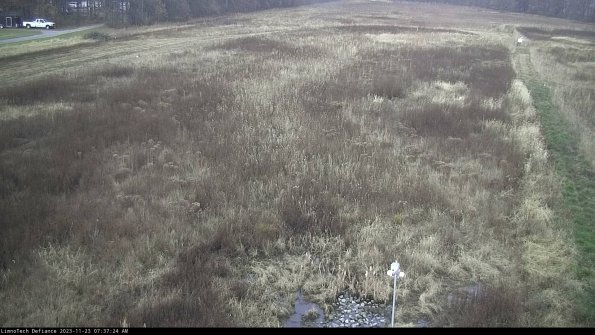 Cell 1_23-11-23_07-37-24-77