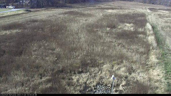 Cell 1_23-11-23_10-58-20-80