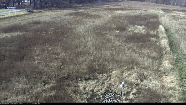 Cell 1_23-11-23_11-31-50-78