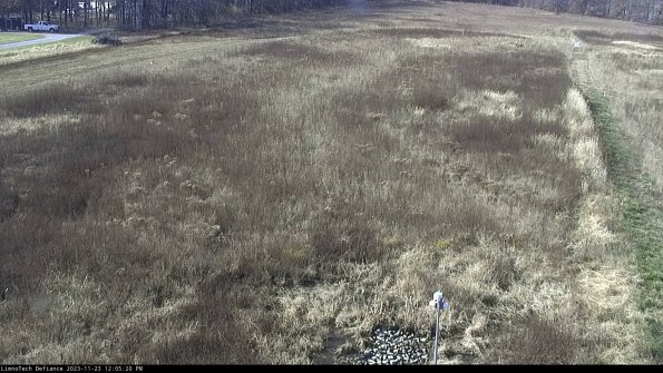 Cell 1_23-11-23_12-05-20-76