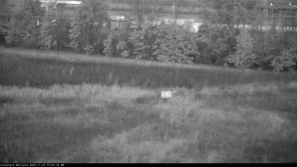 Cell 2 to 3_23-11-23_07-04-35-00